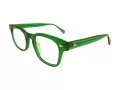 Berkeley Glasögon BB 88010 C4