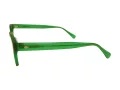 Berkeley Glasögon BB 88010 C4