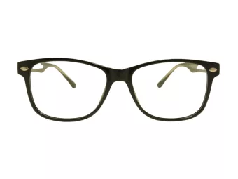 Berkeley Glasögon BB A2004 C1