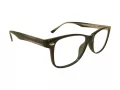 Berkeley Glasögon BB A2004 C1