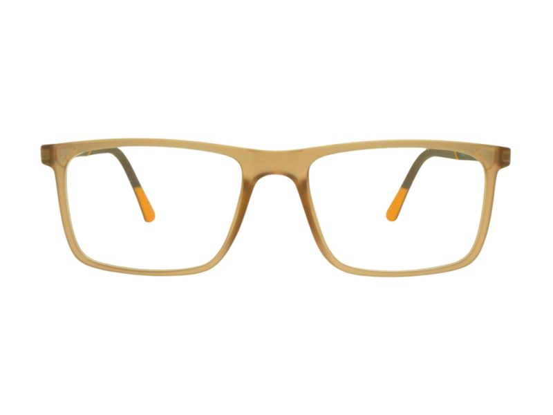 Berkeley Glasögon BB H6520 C2