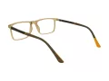 Berkeley Glasögon BB H6520 C2
