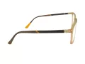 Berkeley Glasögon BB H6520 C2