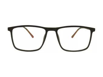 Berkeley Glasögon BB RS9011 C2