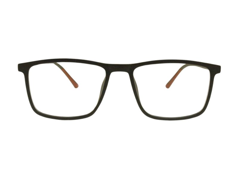Berkeley Glasögon BB RS9011 C2