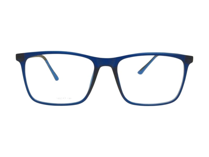 Berkeley Glasögon BB RS9016 C4