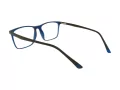 Berkeley Glasögon BB RS9016 C4