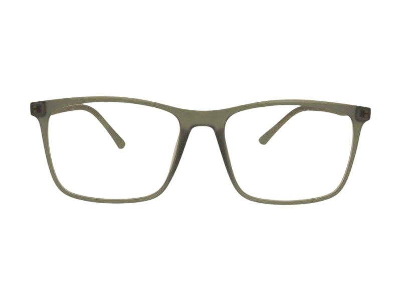 Berkeley Glasögon BB RS9016 C6