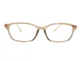 Berkeley Glasögon BB T5005 C4