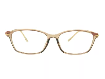 Berkeley Glasögon BB T5005 C4