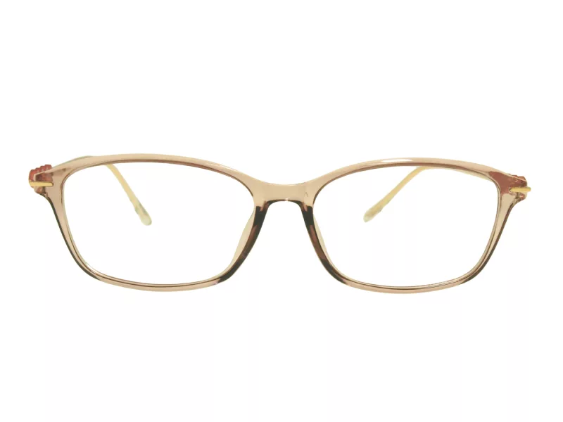 Berkeley Glasögon BB T5005 C4