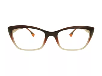 Berkeley Glasögon BB TR76013 C2
