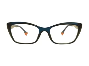 Berkeley Glasögon BB TR76013 C4