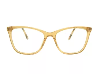 Berkeley Glasögon BB WP86003 C2