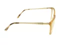 Berkeley Glasögon BB WP86003 C2