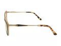 Berkeley Glasögon BB WP86004 C3