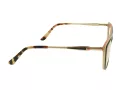 Berkeley Glasögon BB WP86004 C3