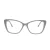 Berkeley Glasögon BB WP86008 C5