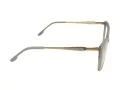 Berkeley Glasögon BB WP86008 C5