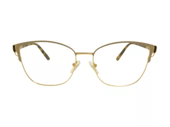 Berkeley Glasögon BB Y_MO25 C2