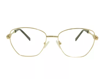 Berkeley Glasögon BB Y_MO35 C2