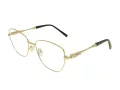 Berkeley Glasögon BB Y_MO35 C2