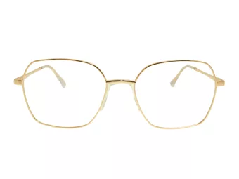 Berkeley Glasögon BB Y_MO37 C2