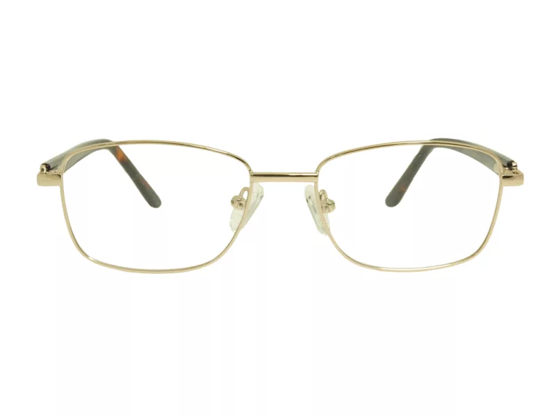 Berkeley Glasögon BB Y_MO42 C1