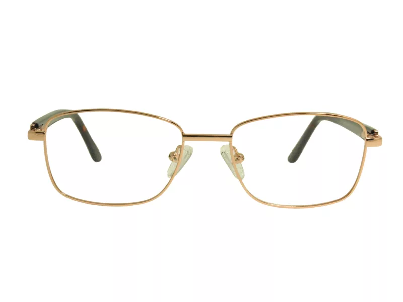 Berkeley Glasögon BB Y_MO42 C2
