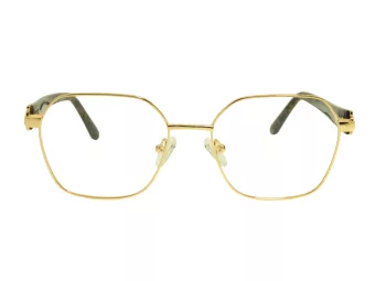 Berkeley Glasögon BB Y_MO46 C1