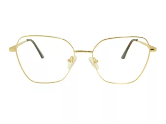 Berkeley Glasögon BB Y_MO48 C1