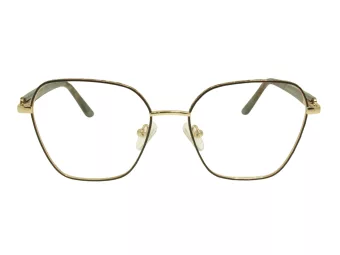 Berkeley Glasögon BB Y_MO50 C1