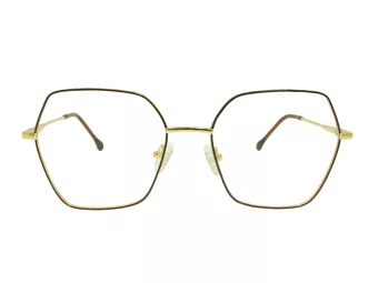 Berkeley Glasögon BB Y_MO51 C1