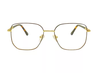 Berkeley Glasögon BB Y_MO52 C1