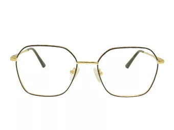 Berkeley Glasögon BB Y_MO53 C1