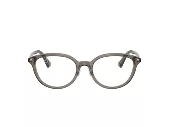 Burberry Glasögon BE 2435D 4160