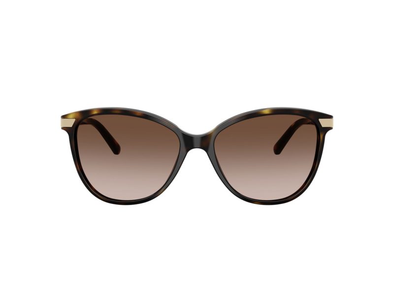 Burberry Solglasögon BE 4216 300213