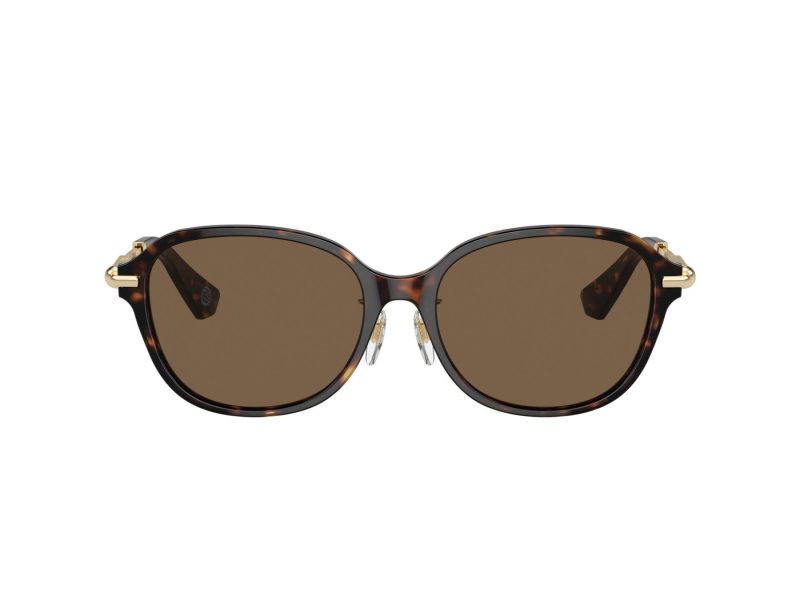 Burberry Solglasögon BE 4429D 300273