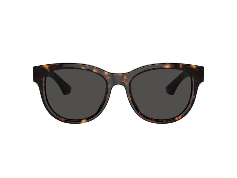 Burberry Solglasögon BE 4432U 300287
