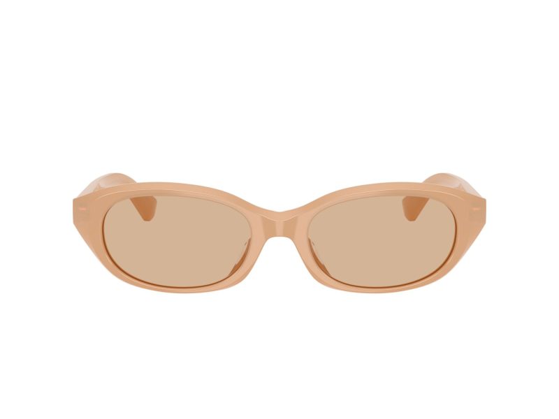 Burberry Solglasögon BE 4447D 415073