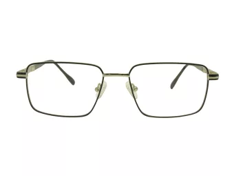 Berkeley datorglasögon BB 56071 C6 54