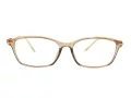 Berkeley datorglasögon BB T5005 C4 55