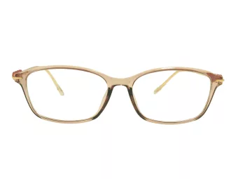Berkeley datorglasögon BB T5005 C4 55