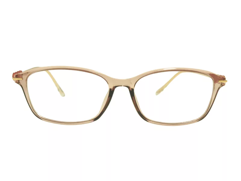 Berkeley datorglasögon BB T5005 C4 55