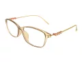Berkeley datorglasögon BB T5005 C4 55