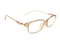 Berkeley datorglasögon BB T5005 C4 55