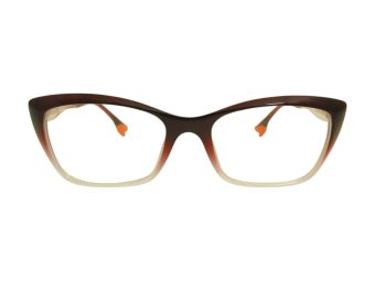 Berkeley datorglasögon BB TR76013 C2 54