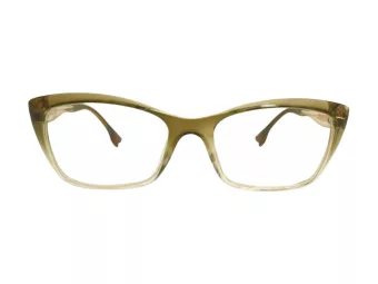 Berkeley datorglasögon BB TR76013 C6 54
