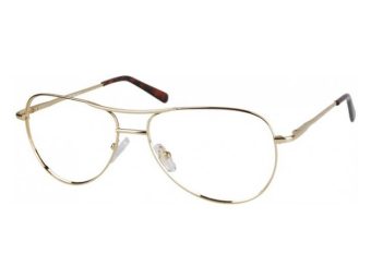 Berkeley datorglasögon 699 B
