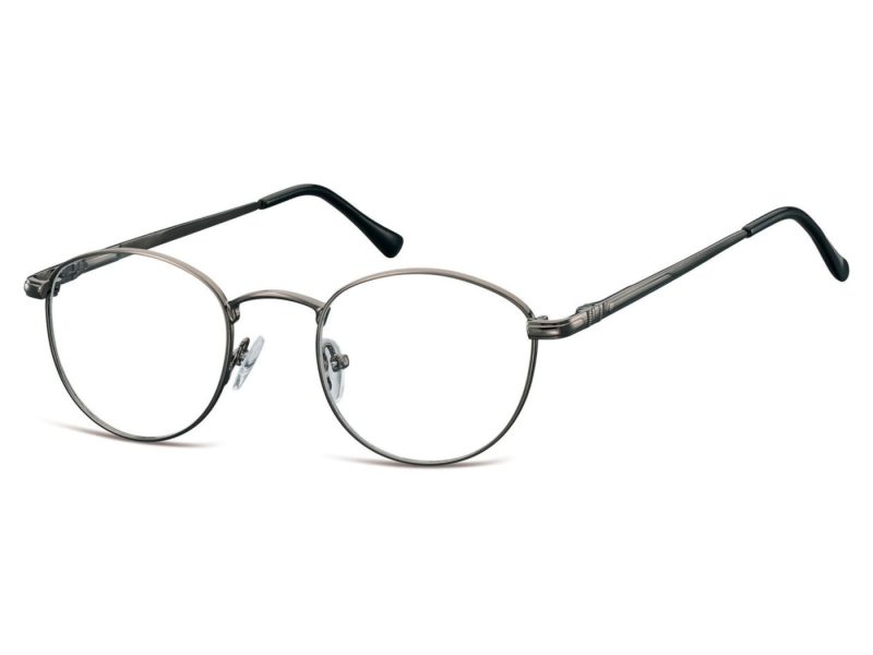 Berkeley datorglasögon 793A